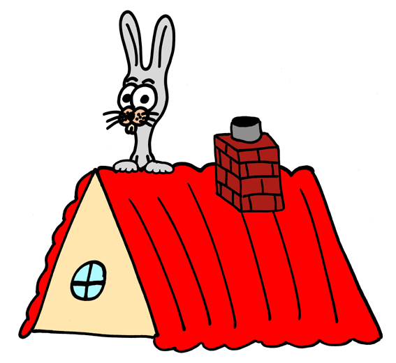 RoofRabbit Comis